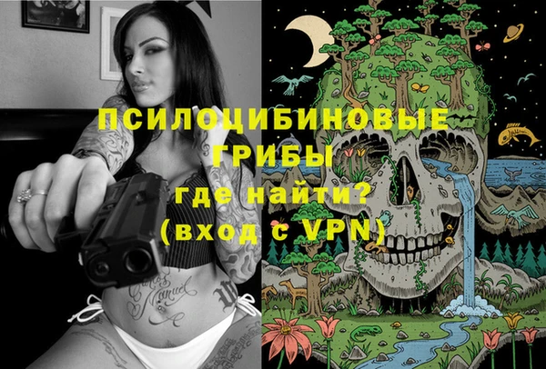 герыч Алексеевка