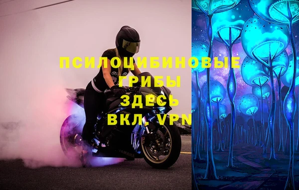 мяу мяу мука Алексин