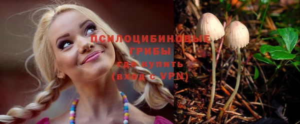 мяу мяу мука Алексин
